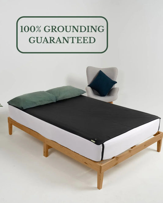 Zaphrosia's  Grounding Leather Mattress