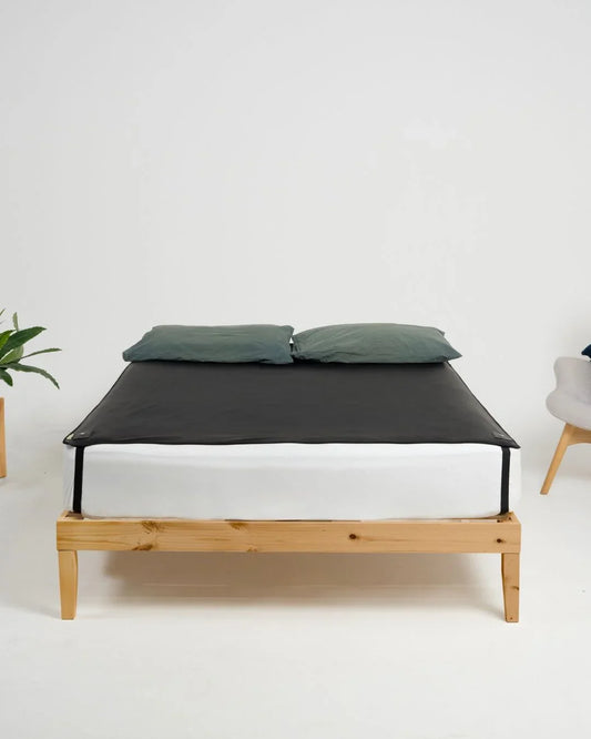 Zaphrosia's  Grounding Leather Mattress